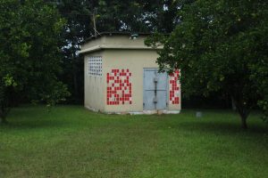 IMG_1794